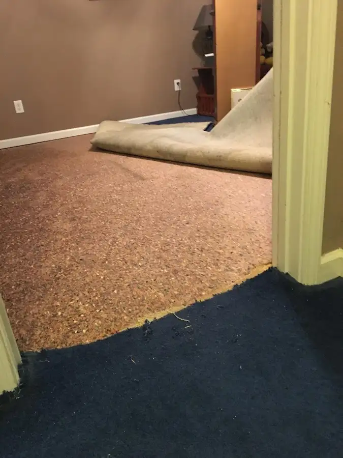 Carpet pad removal revealing water damage during Drying & Dehumidification in Fitchburg