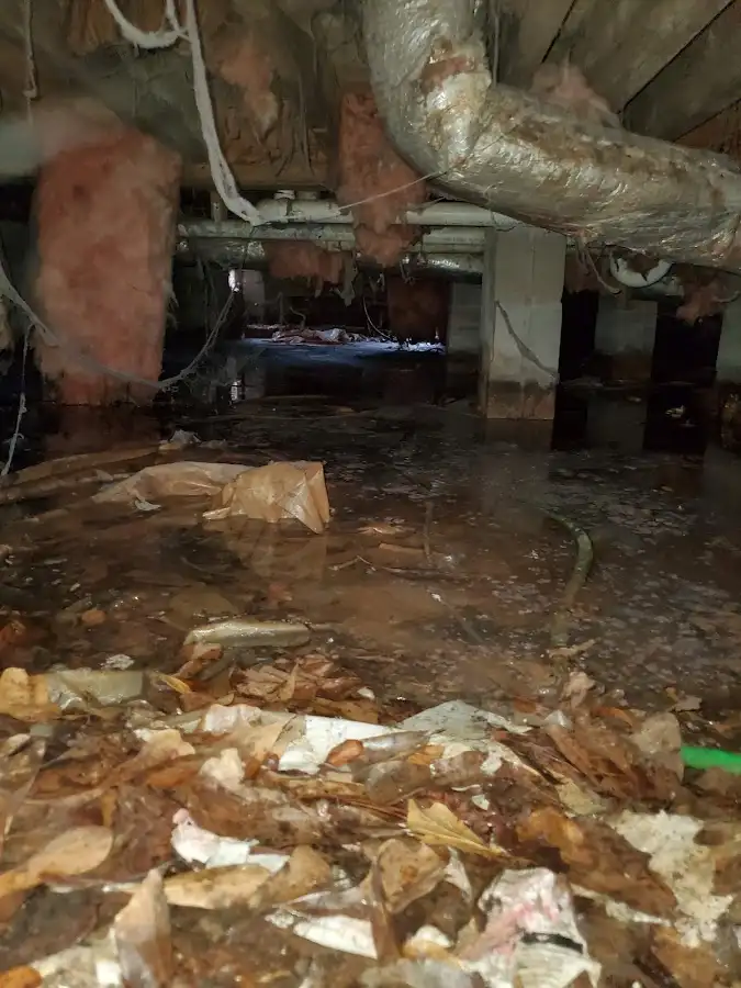 Crawl space flood assessment for Leak Detection & Repair in Fitchburg